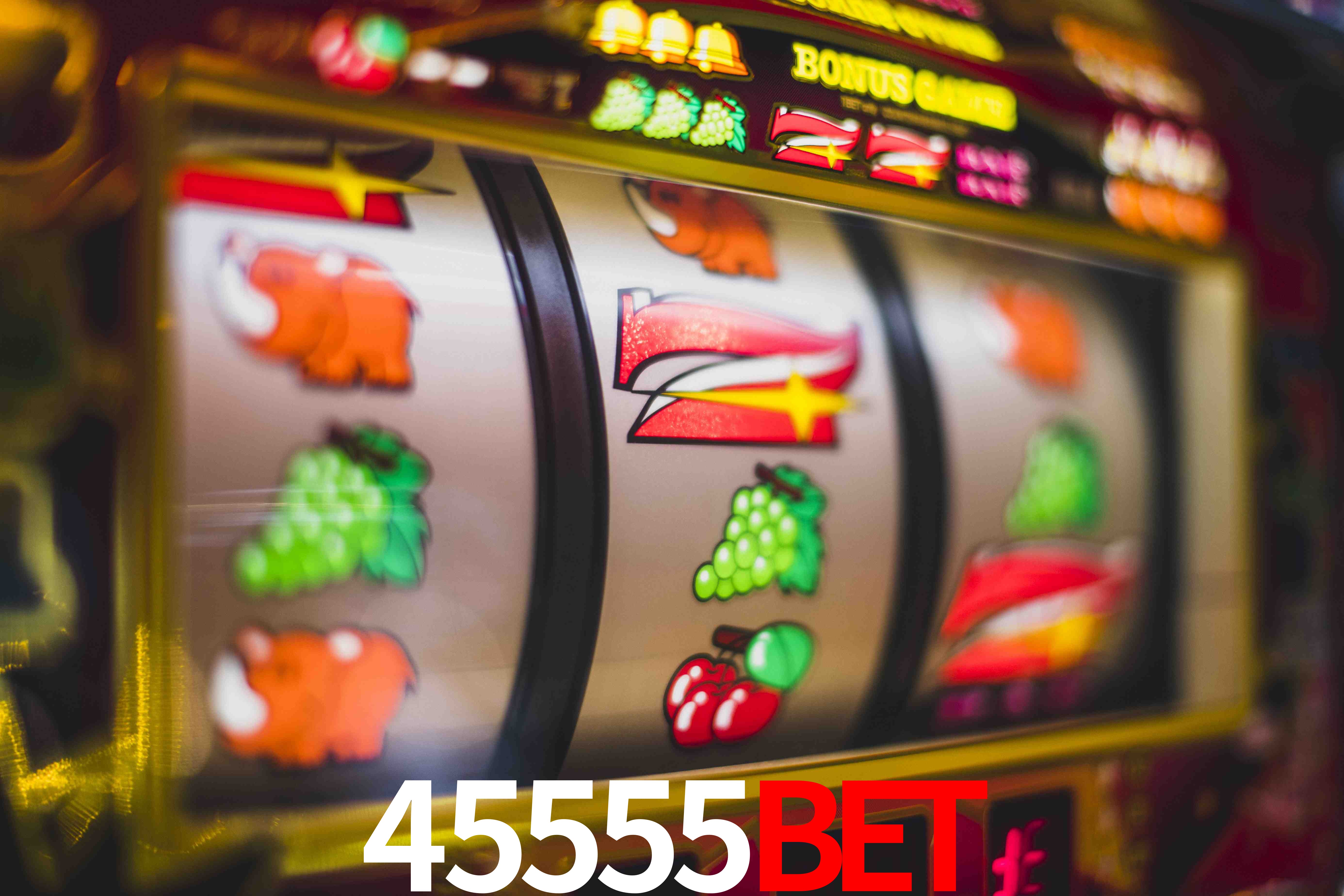 Roulette Table 45555bet